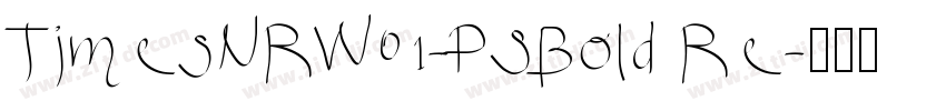 TimesNRW01-PSBold Re字体转换